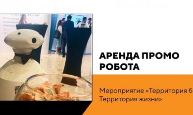 Робот на мероприятии "Территория бизнеса - Территория жизни"