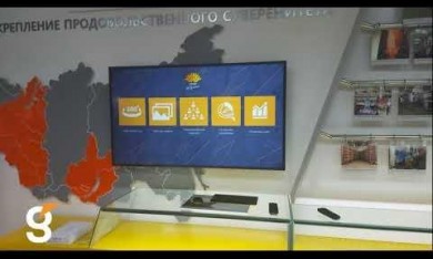 Разработка программного обеспечения для индивидуальной системы управления.
